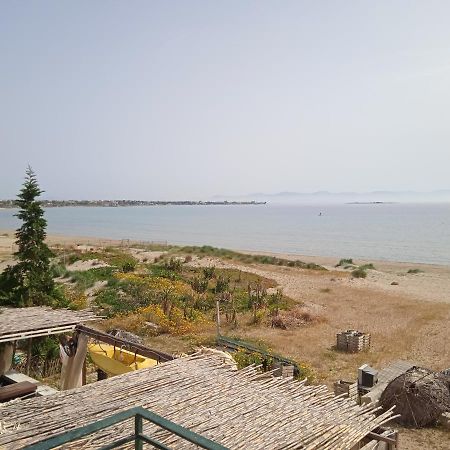 Apartment On The Beach Artemida  Dış mekan fotoğraf