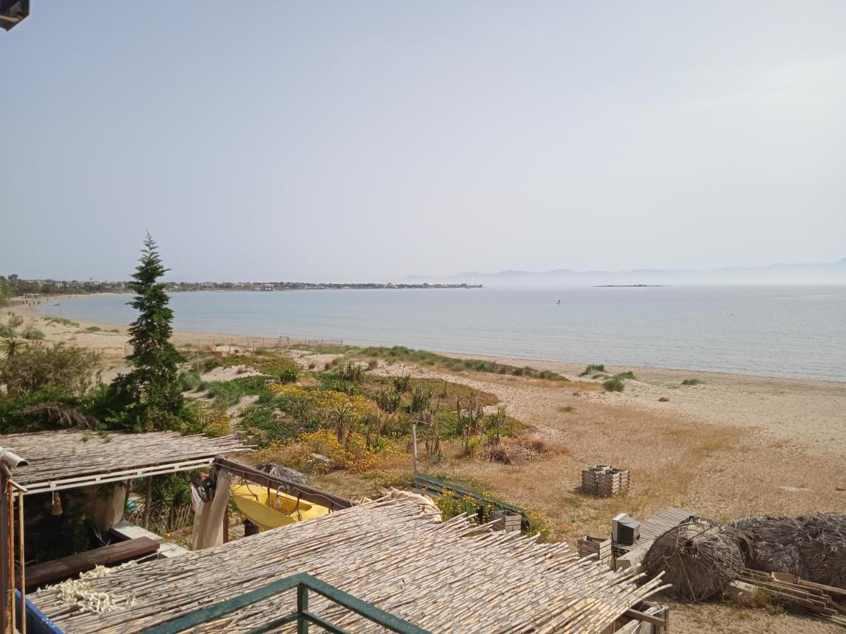 Apartment On The Beach Artemida  Dış mekan fotoğraf